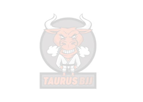 Taurus BJJ – Logo